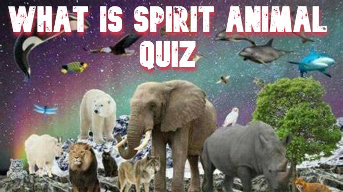 What is Spirit Animal Quiz